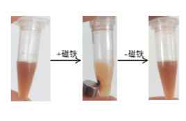 磁性高分子微球粒徑和Zeta電位測(cè)試